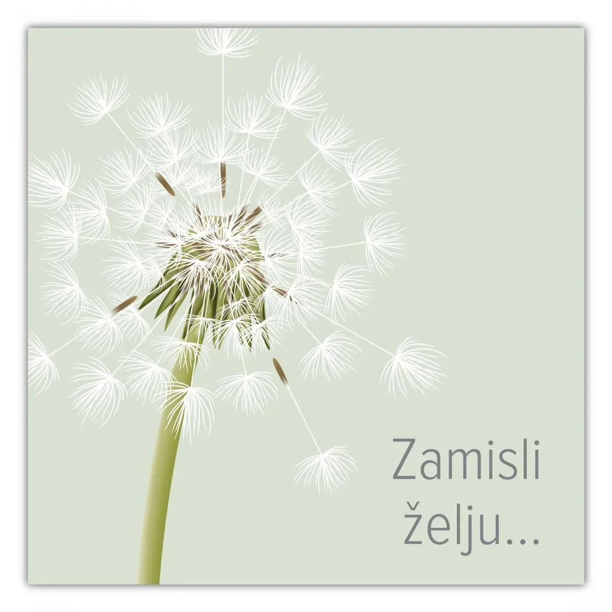 E-Gift kartica ZAMISLI ŽELJU 3000 