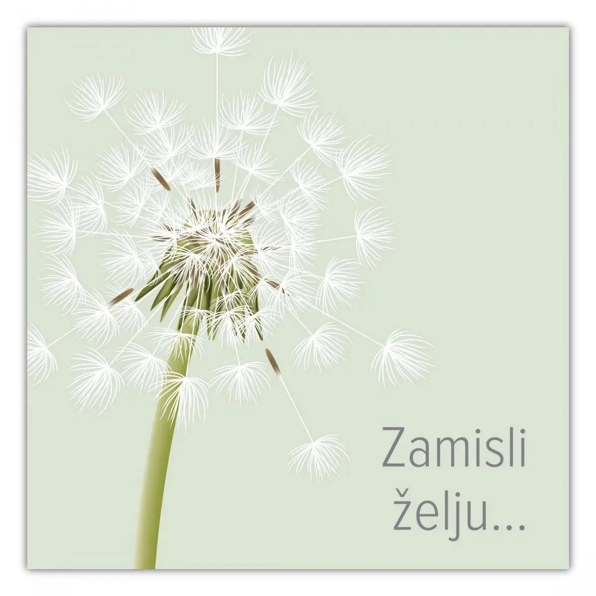 E-Gift kartica ZAMISLI ŽELJU 5000 