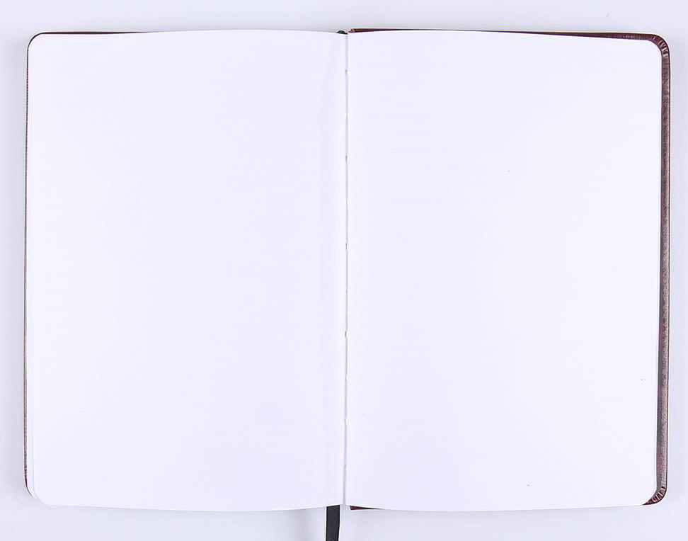 HARRY POTTER premijum sveska GRYFFINDOR 