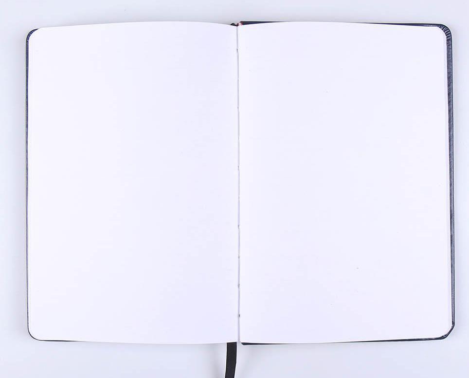 HARRY POTTER premijum sveska RAVENCLAW 