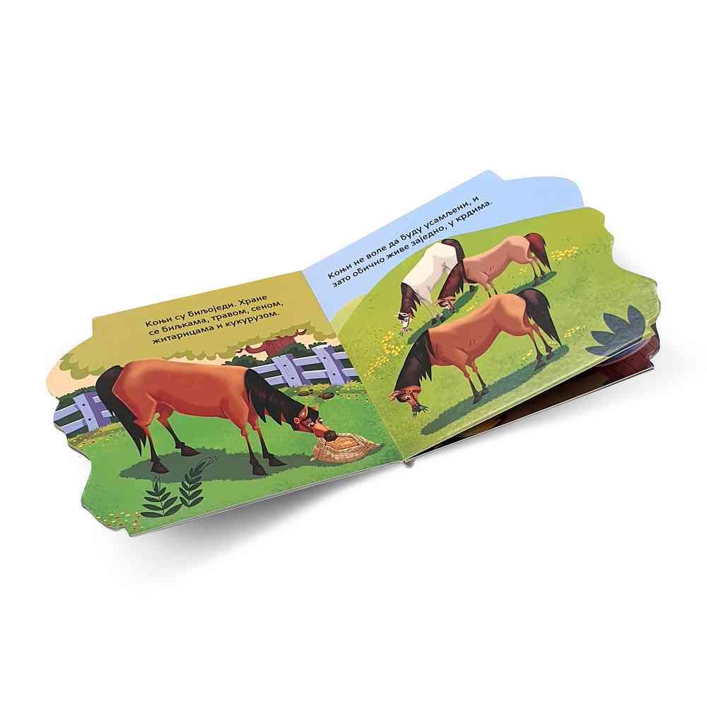 MOJA MALA KNJIGA O ŽIVOTINJAMA: KONJ 