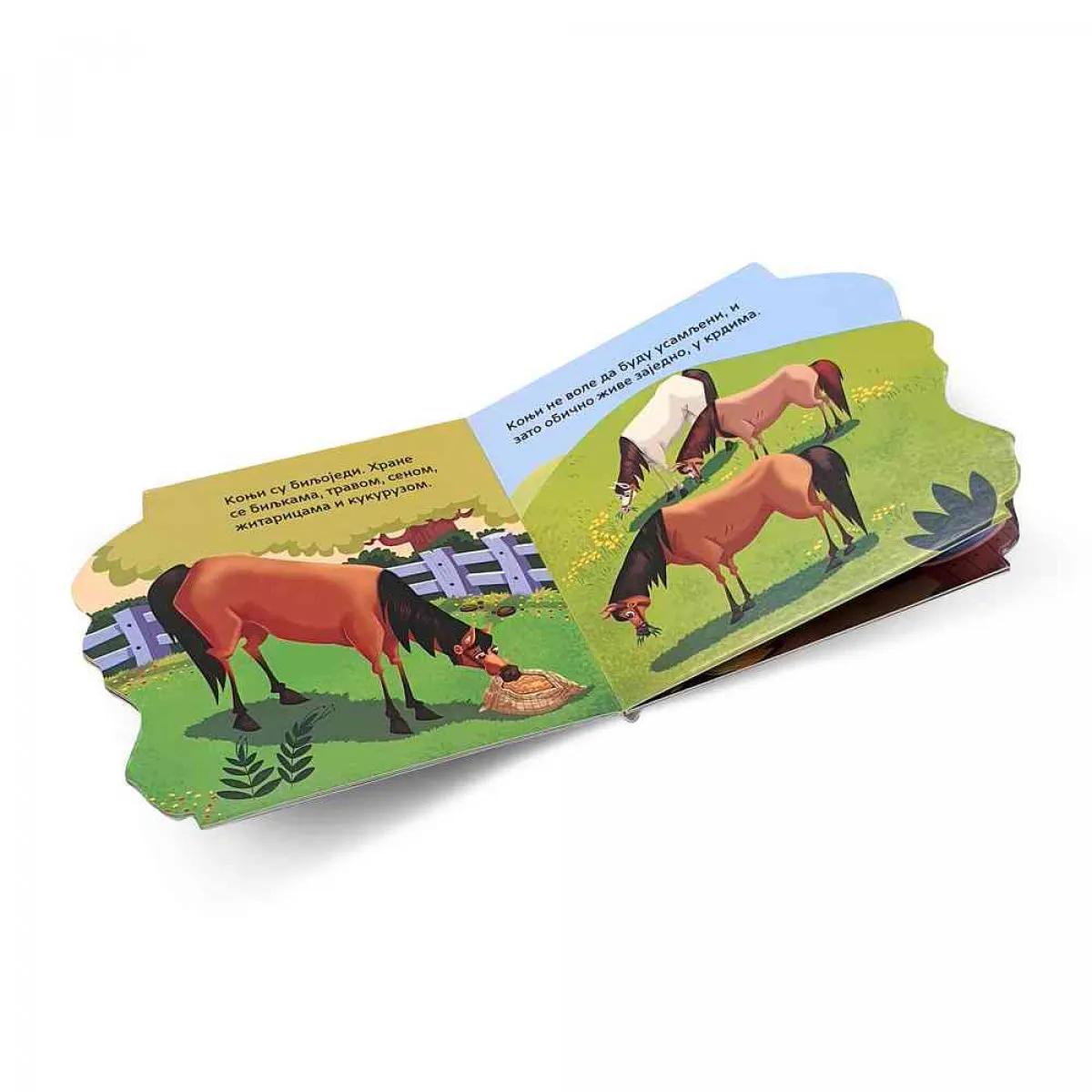 MOJA MALA KNJIGA O ŽIVOTINJAMA: KONJ 