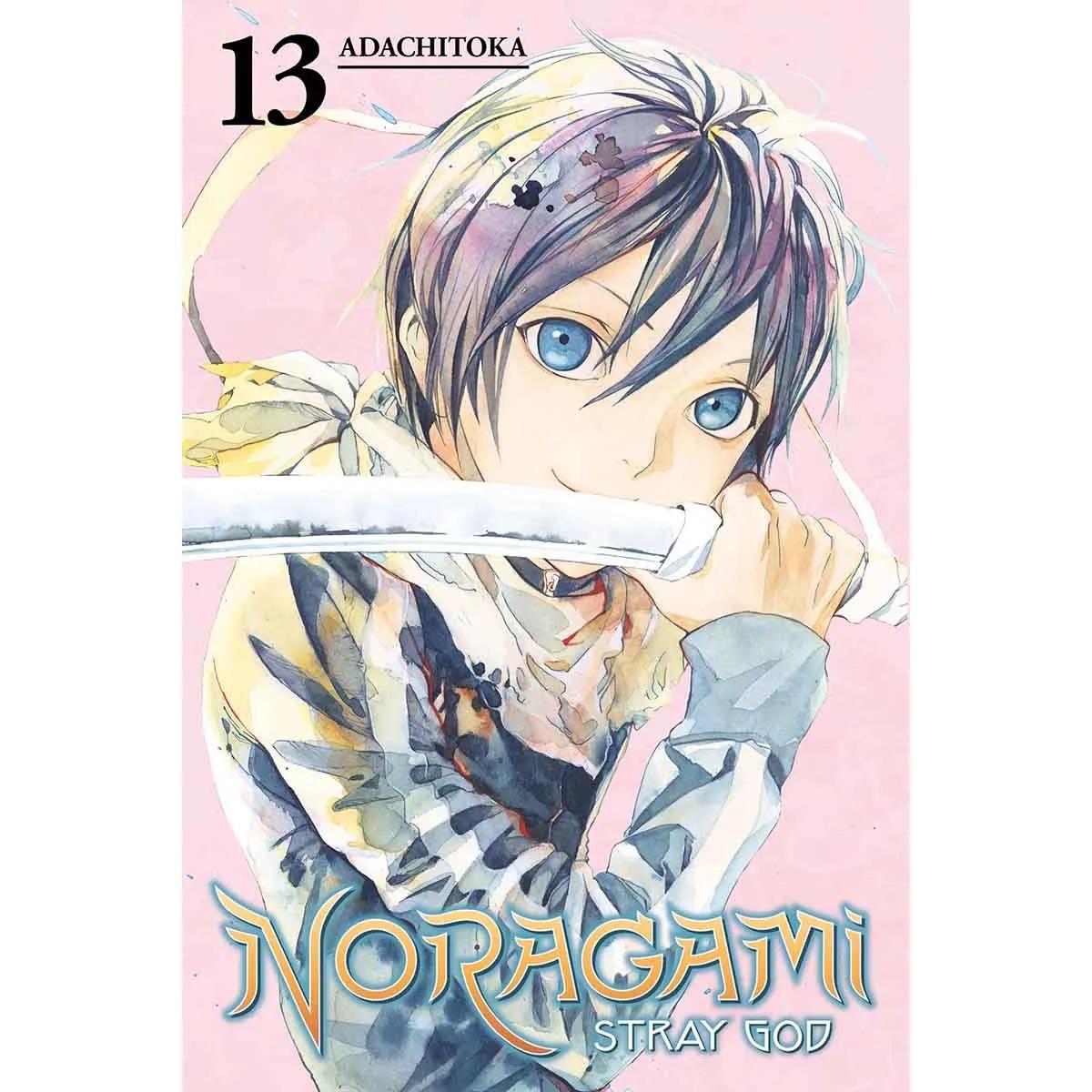 NORAGAMI STRAY GOD VOL 13 