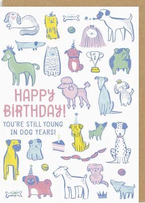 Rođendanska čestitka YOUNG IN DOG YEARS 