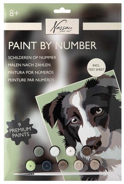 Kreativni set OBOJI PO BROJEVIMA - PAS 