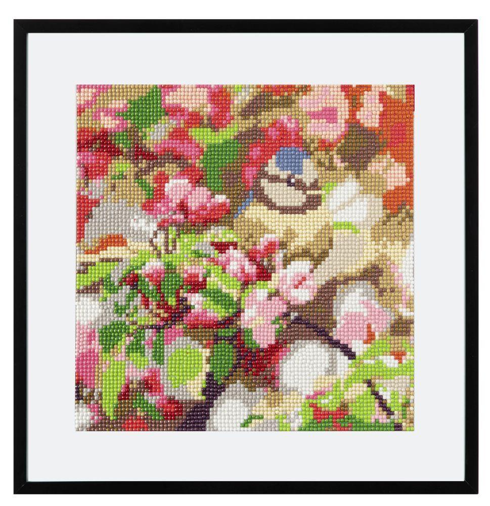 Slikanje cirkonima DIAMOND PAINTING 30x30 cm Ptica 