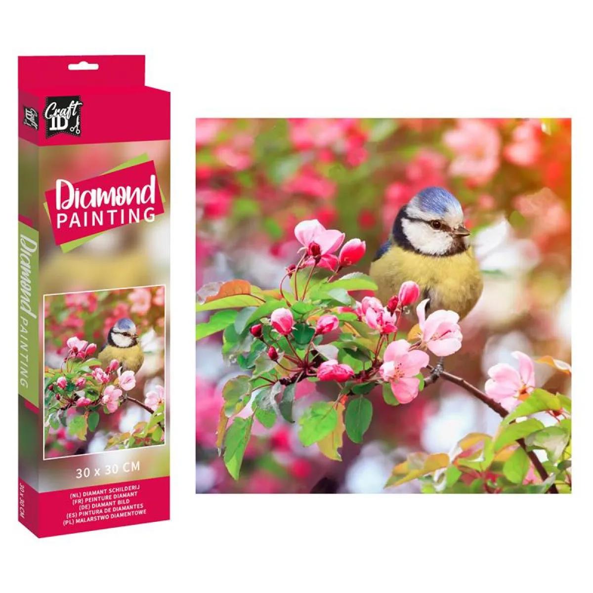 Slikanje cirkonima DIAMOND PAINTING 30x30 cm Ptica 