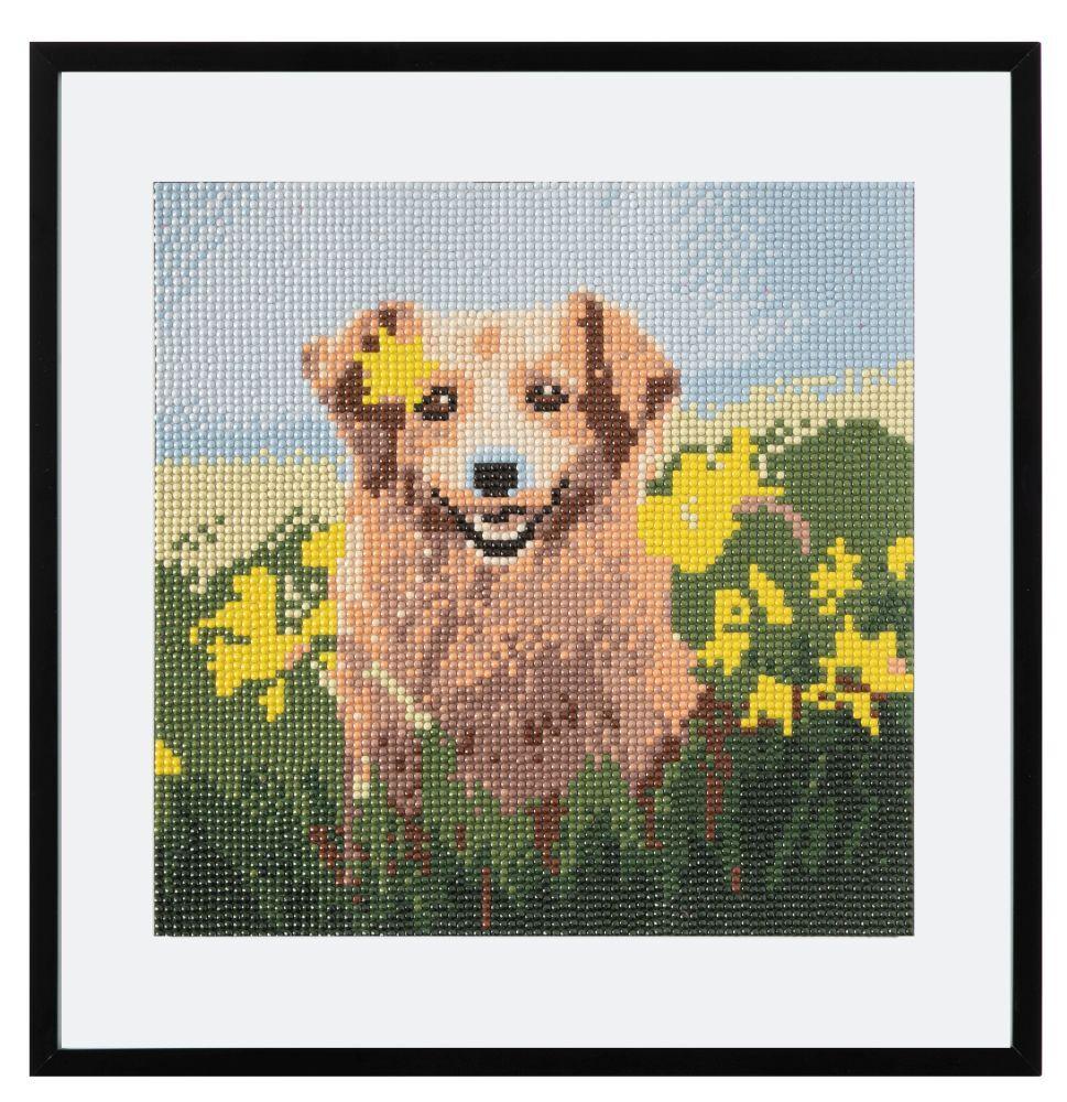 Slikanje cirkonima DIAMOND PAINTING 30x30 cm Pas 