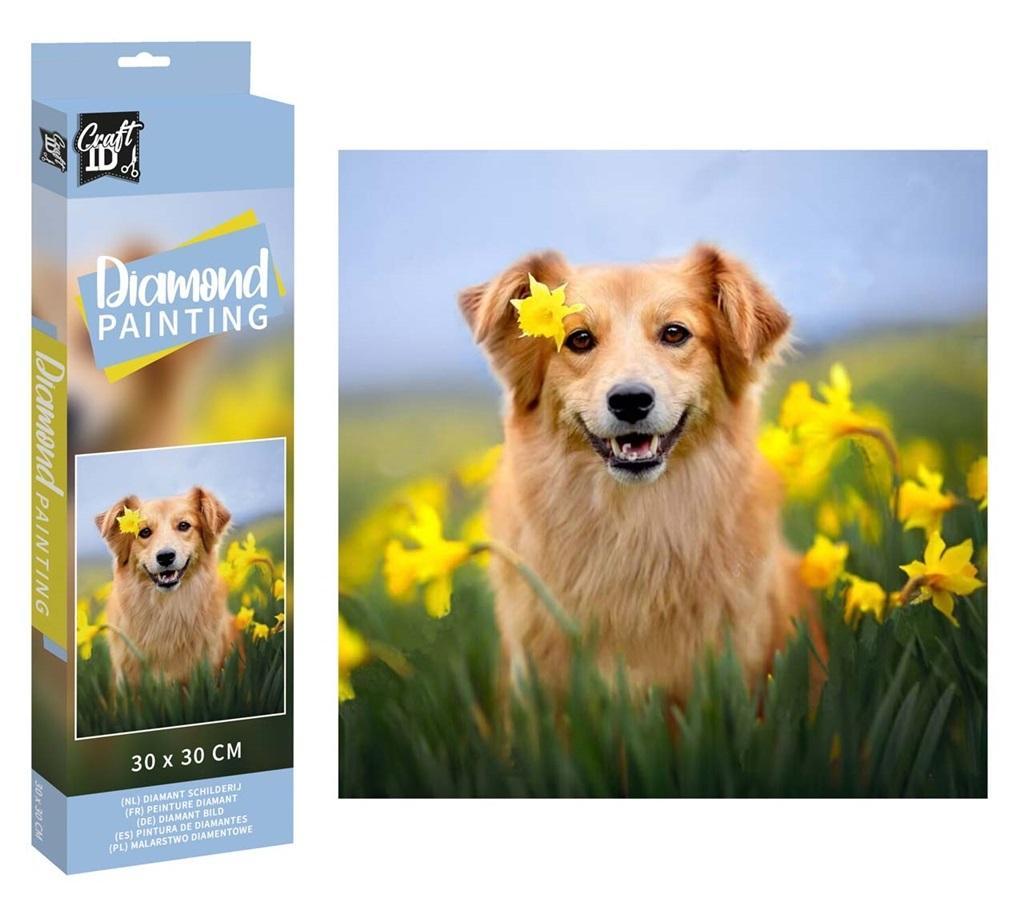 Slikanje cirkonima DIAMOND PAINTING 30x30 cm Pas 