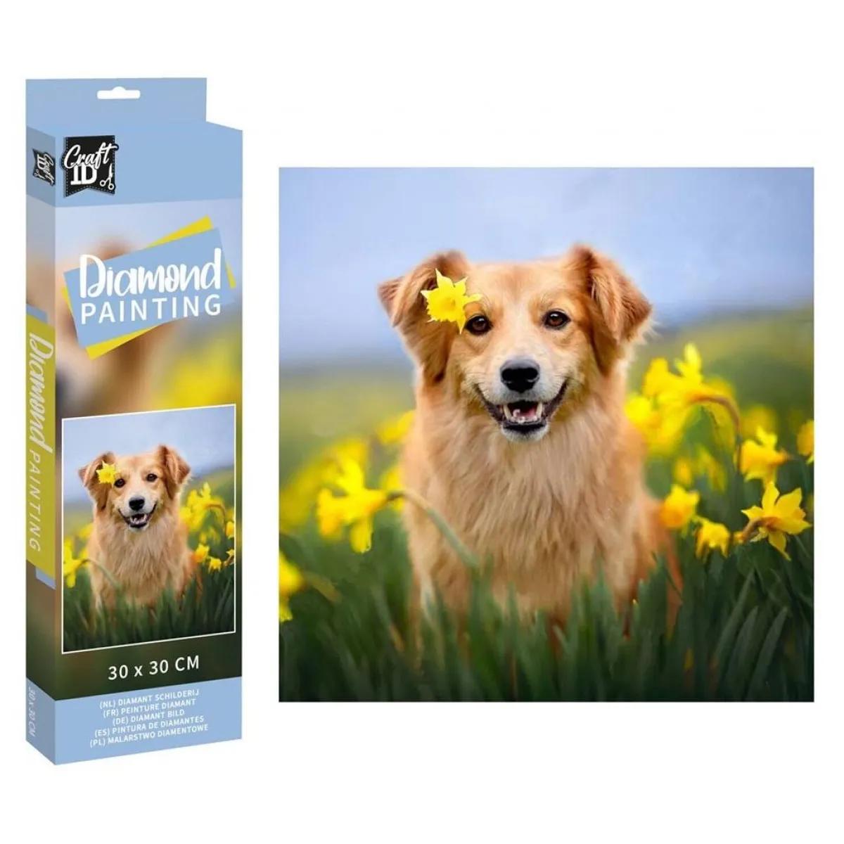 Slikanje cirkonima DIAMOND PAINTING 30x30 cm Pas 