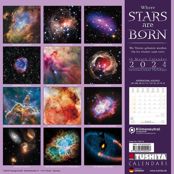 Zidni kalendar WHERE STARS ARE BORN 2024 