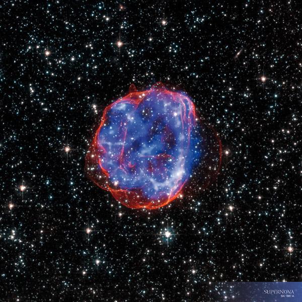 Zidni kalendar WHERE STARS ARE BORN 2024 