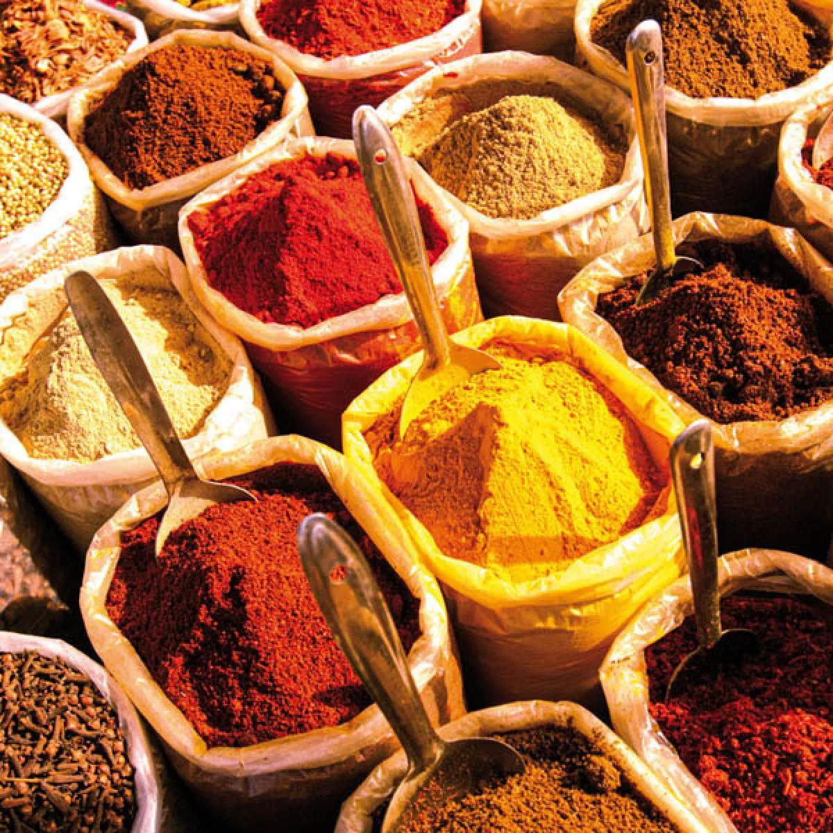 Zidni kalendar FOOD & SPICES 2024 