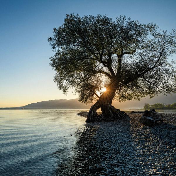 Zidni kalendar DIE SONNE GEHT AUF 2024 