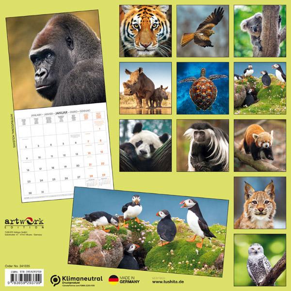 Zidni kalendar BEDROHTE TIERWELT (NEU) 2024 