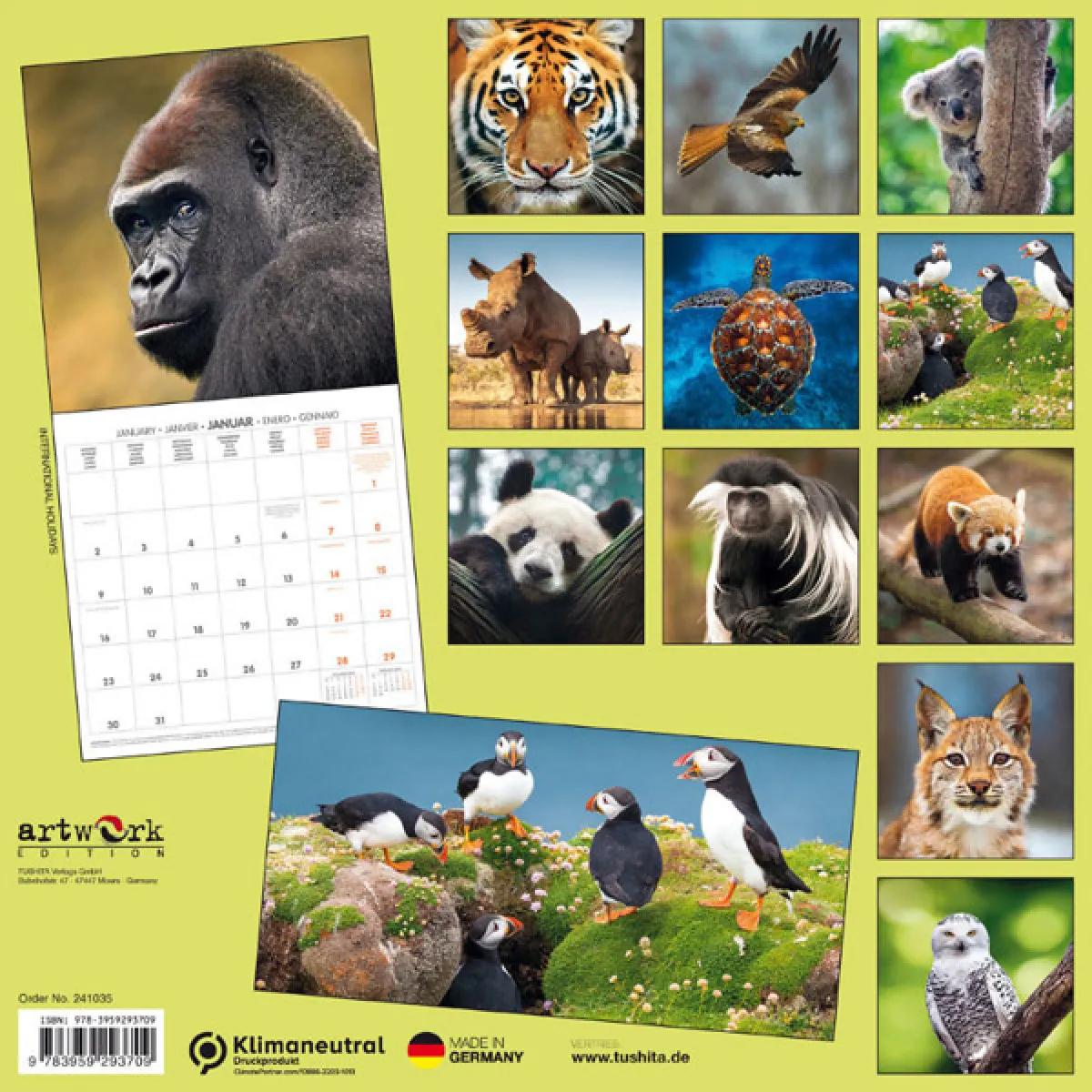 Zidni kalendar BEDROHTE TIERWELT (NEU) 2024 