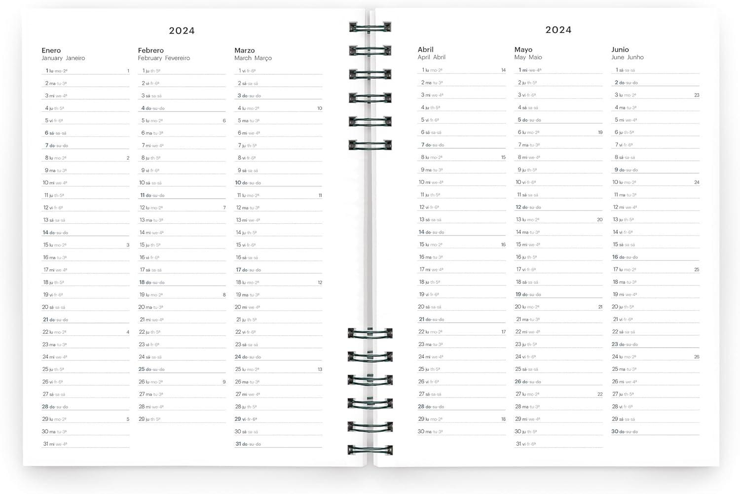 MIQUELRIUS Datumirani planer za 2024. - PETROL 