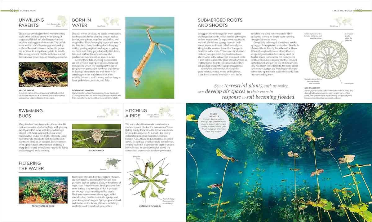 HABITATS Discover Earth's Precious Wild Places 