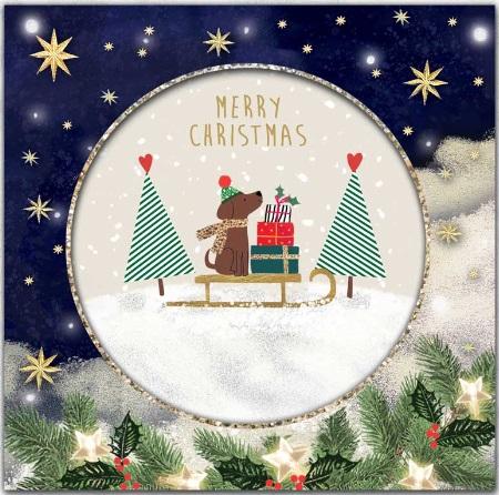 Božićna čestitka PAS NA SANKAMA 