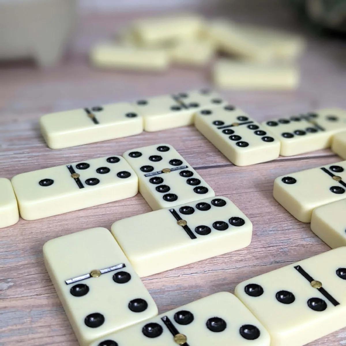 Društvena igra DOMINE 