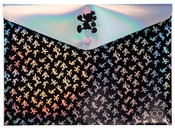 Fascikla za dokumenta A4 / VIŠE VRSTA 