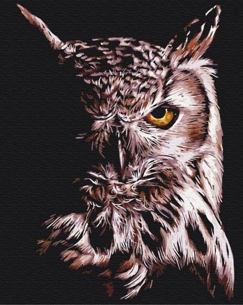 Kreativni set OBOJ PO BROJEVIMA - SOVA 40x50 cm 