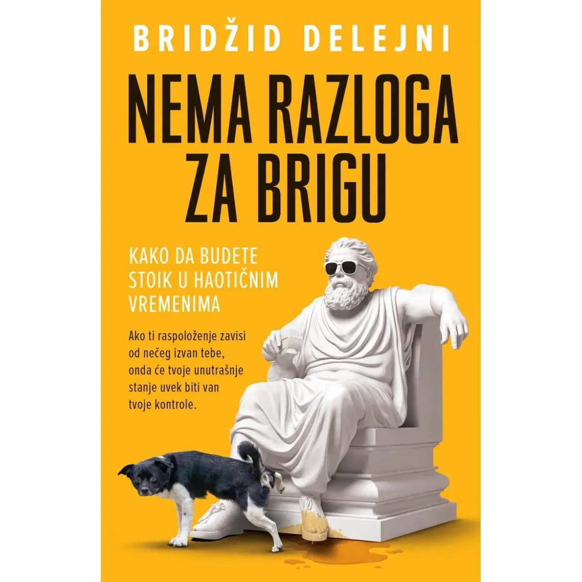 NEMA RAZLOGA ZA BRIGU 