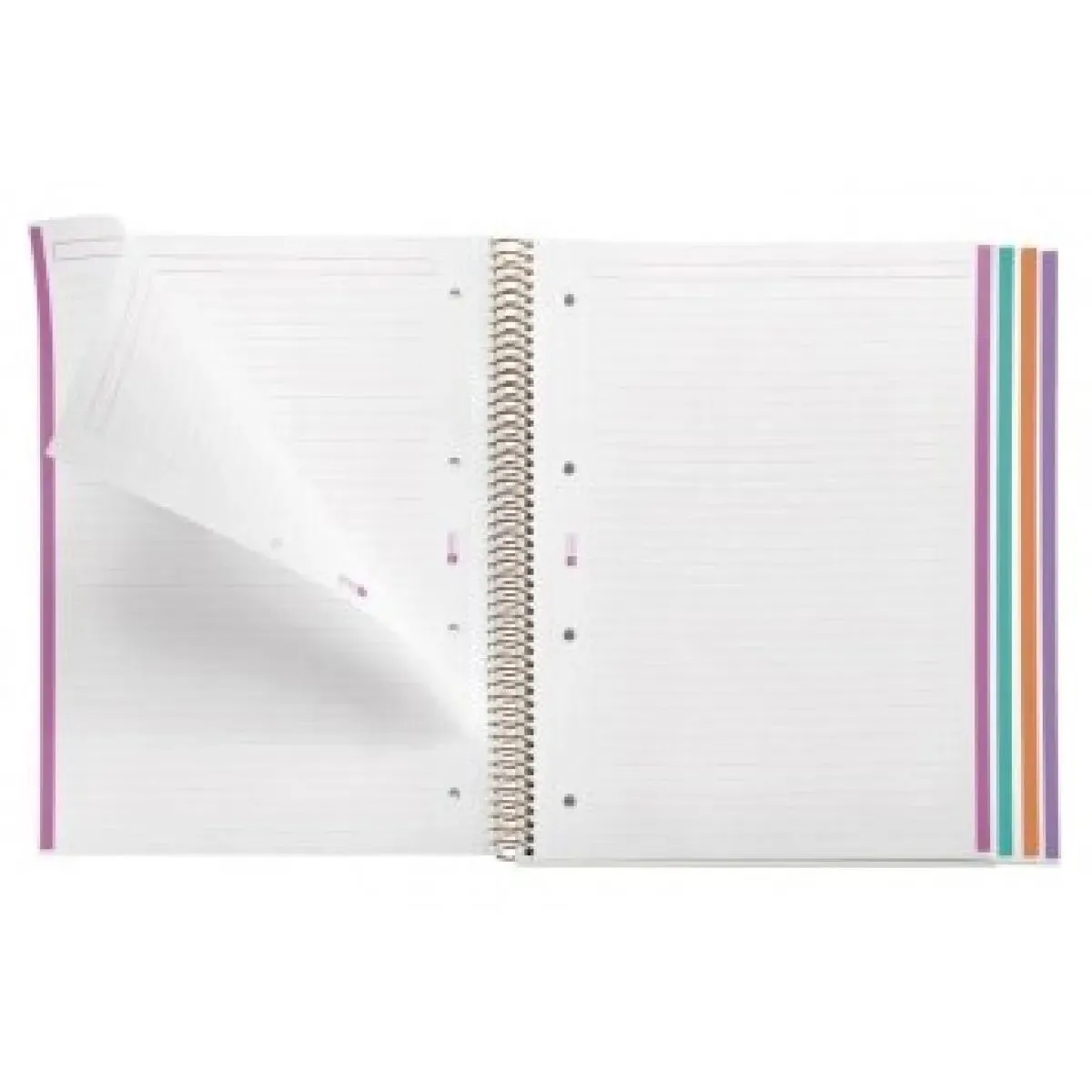 MIQUELRIUS notes A4 na linije MALLORCA LILA 