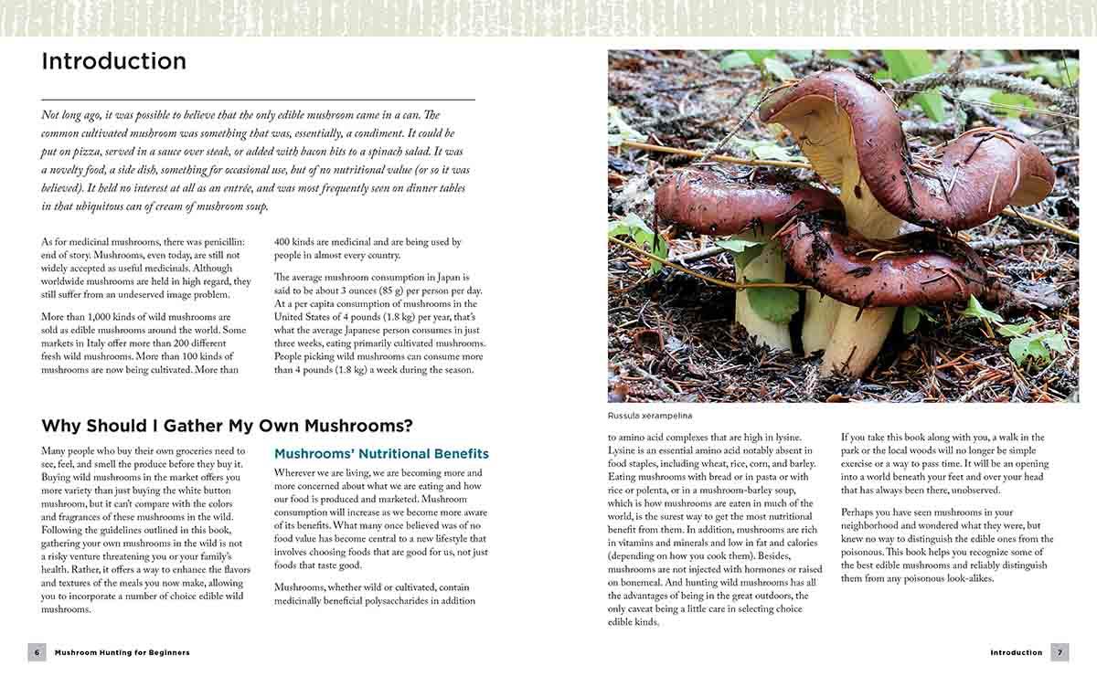 MUSHROOM HUNTING FOR BEGINNERS 