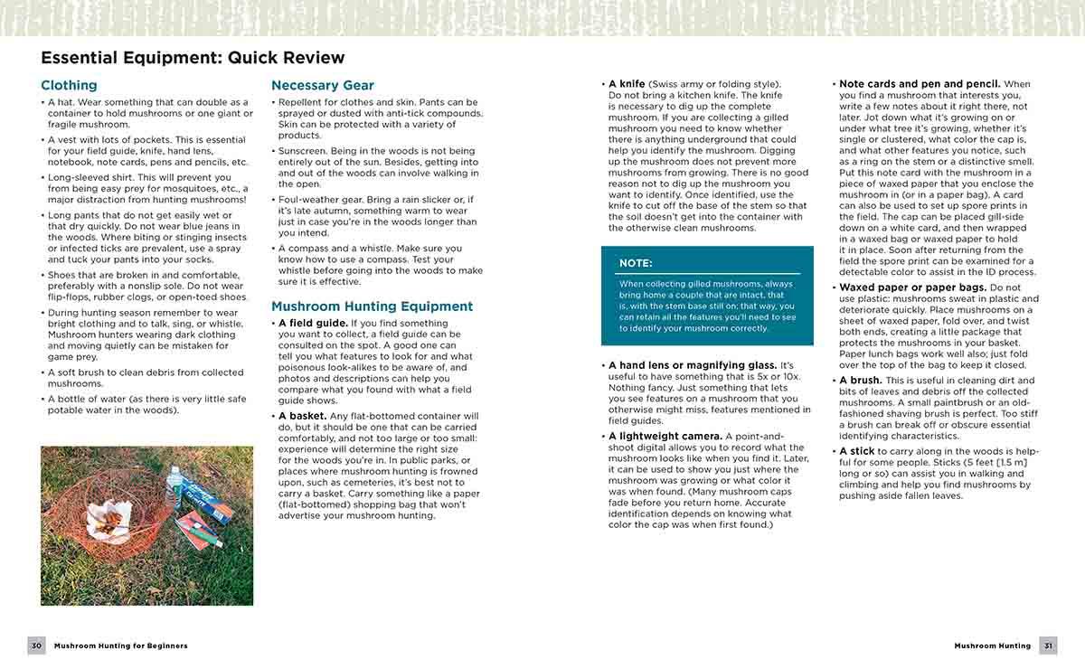 MUSHROOM HUNTING FOR BEGINNERS 