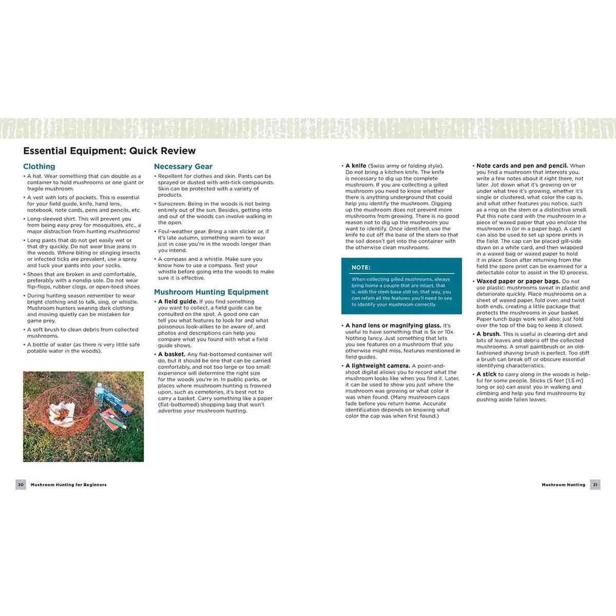 MUSHROOM HUNTING FOR BEGINNERS 