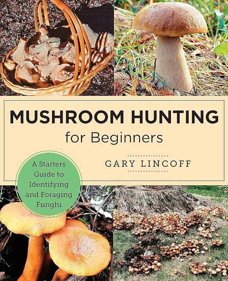 MUSHROOM HUNTING FOR BEGINNERS 