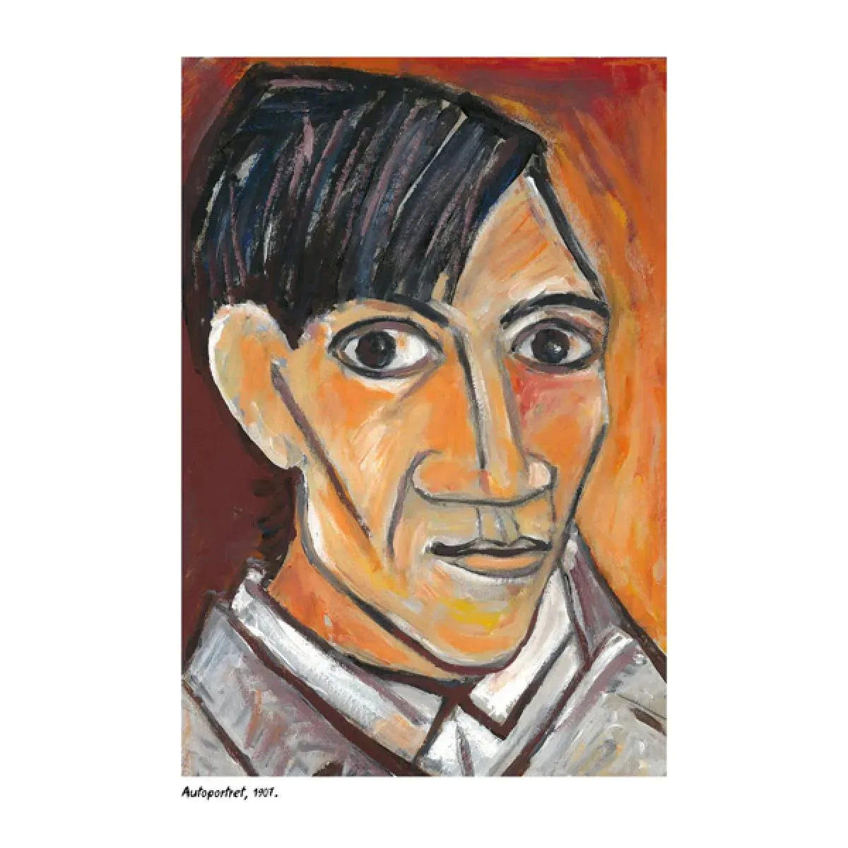 PABLO PIKASO - BOJANKA 