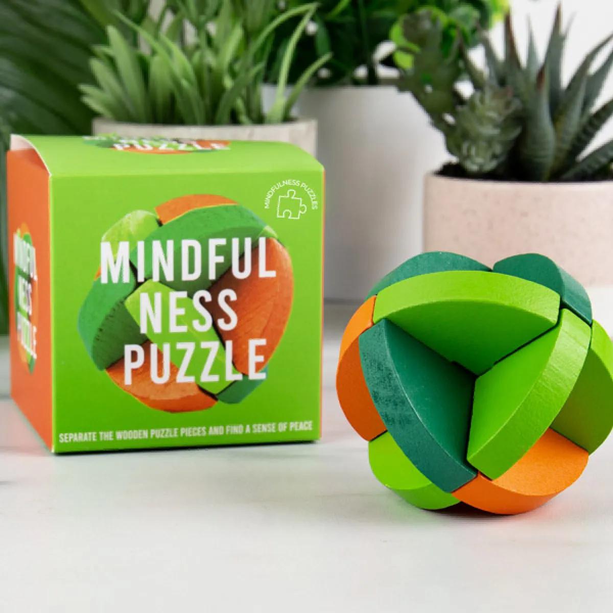 IQ Puzzle MINDFULNESS BRAIN TRAINING 