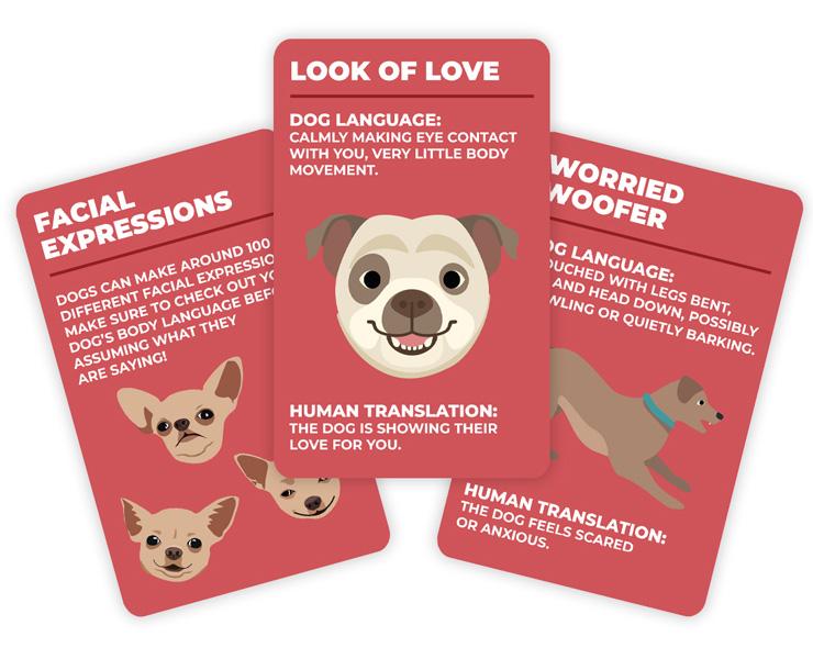 Društvena igra HOW TO SPEAK DOG 