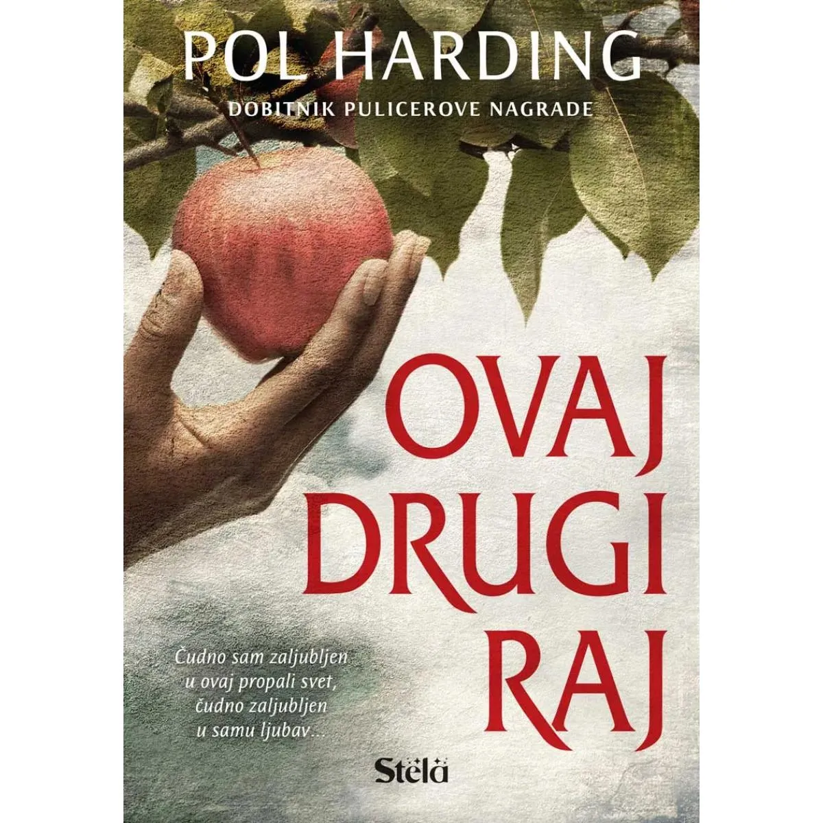 OVAJ DRUGI RAJ 