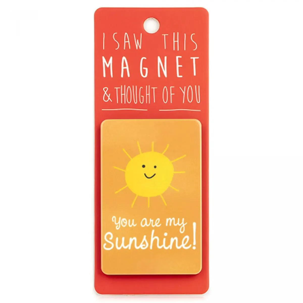 Magnet za frižider I SAW THIS MAGNET You Are My Sunshine 