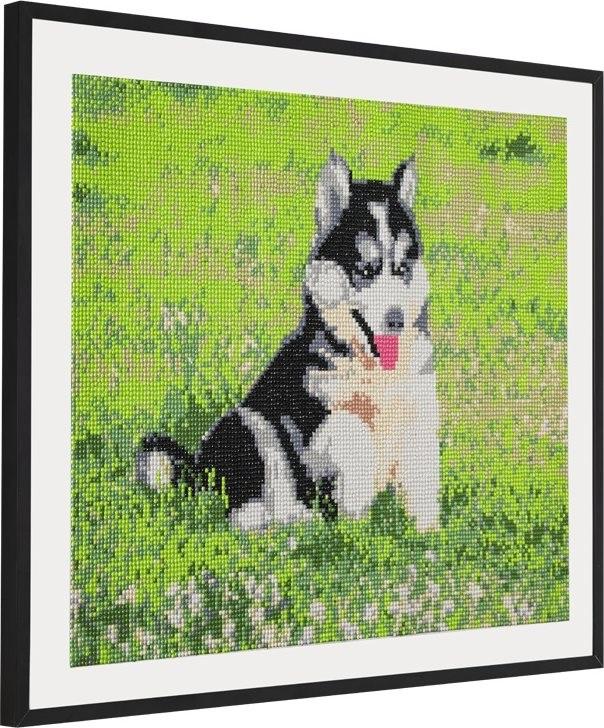 Slikanje cirkonima DIAMOND PAINTING - DOG 40x50cm 