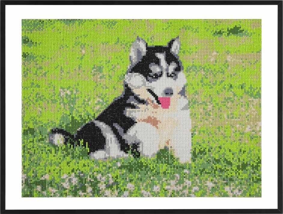 Slikanje cirkonima DIAMOND PAINTING - DOG 40x50cm 