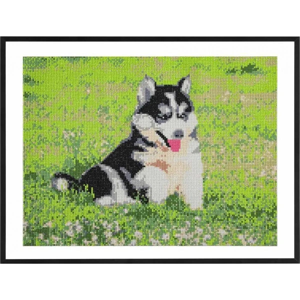 Slikanje cirkonima DIAMOND PAINTING - DOG 40x50cm 