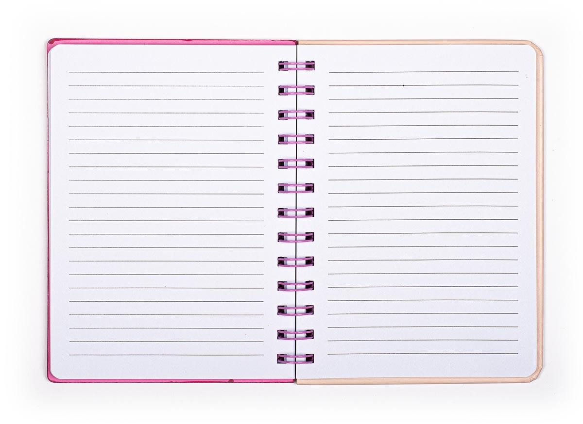 Notes sa digitronom DREAM 