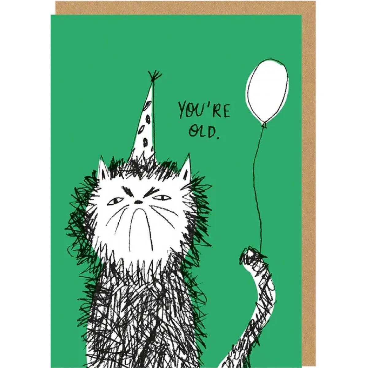 Rođendanska čestitka YOU'RE OLD CAT 