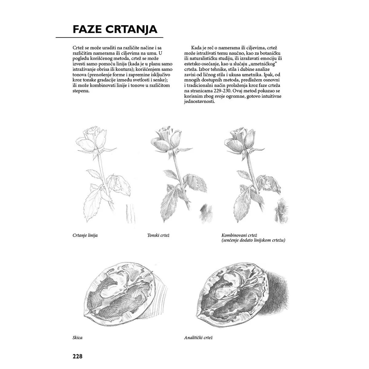 CRTANJE PRIRODE - KOMPETAN VODIČ 