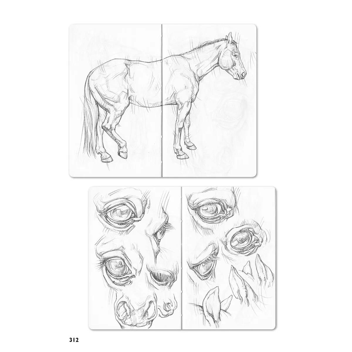 CRTANJE PRIRODE - KOMPETAN VODIČ 