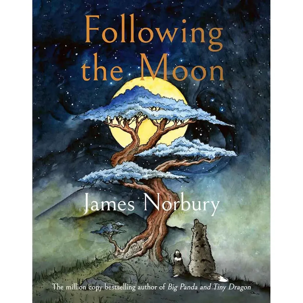 FOLLOWING THE MOON 