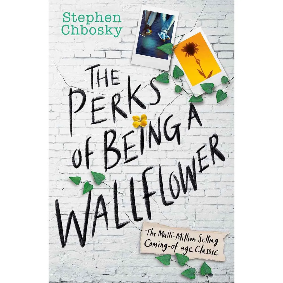 THE PERKS OF BEING A WALLFLOWER TikTok Hit nc 