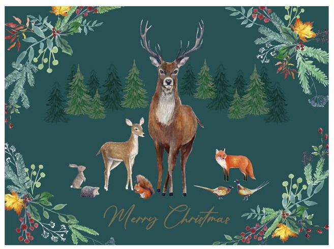 Novogodišnja kutija WOODLAND L 