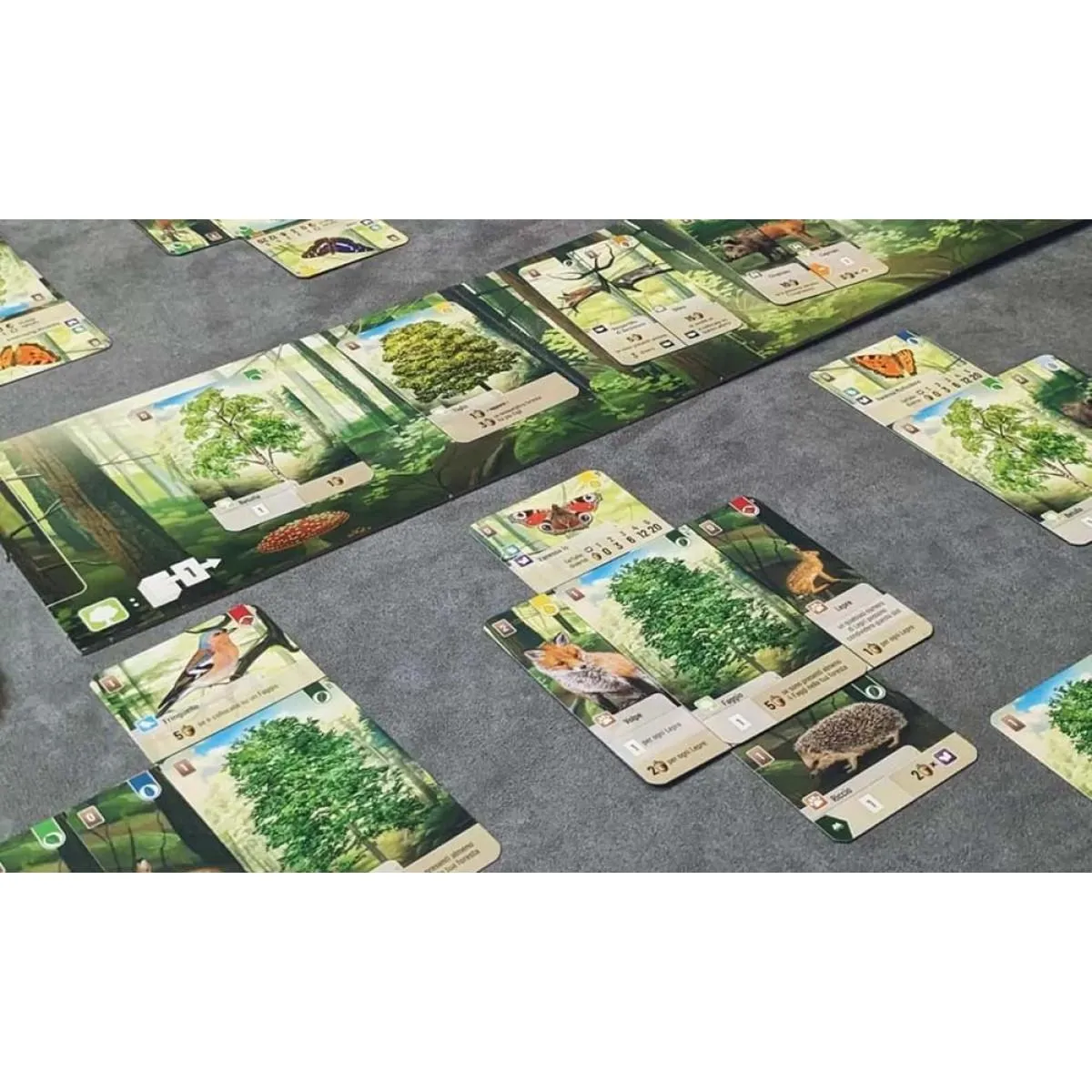 Društvena igra ŠUMSKI SVET 