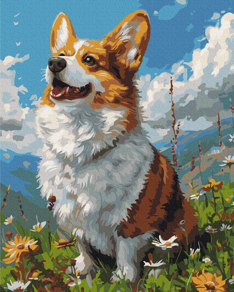 Kreativni set - oboj po brojevima  SUNNY CORGI 