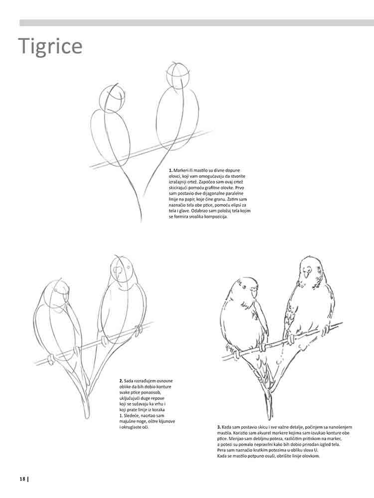 VEŽBANKA ZA VELIKU ŠKOLU CRTANJA ŽIVOTINJA 